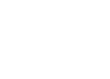 company logo vector image